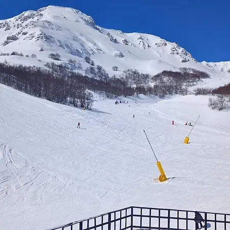 Apartment La Casetta Del Cuore - Centro Con Giardino